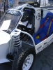 expo buggy 11