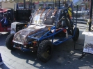 expo buggy 2