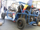 expo buggy 8