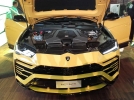 lamborghini urus romania 9