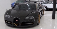 bugatti veyron vivero