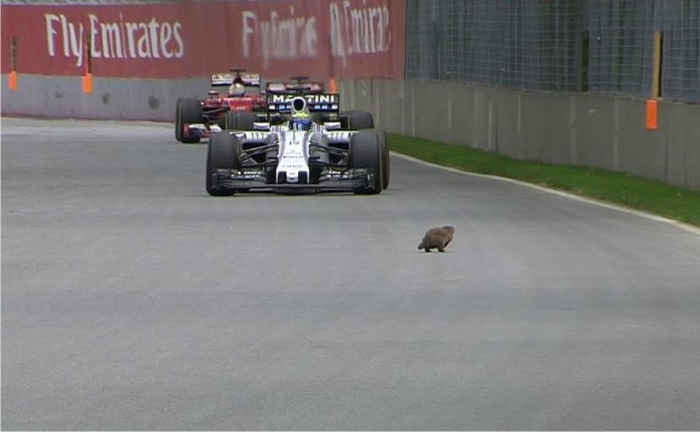 Dublă pentru Mercedes și în Canada