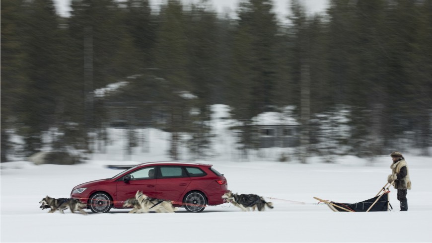 SEAT Leon Cupra la întrecere cu 6 câini frumoși